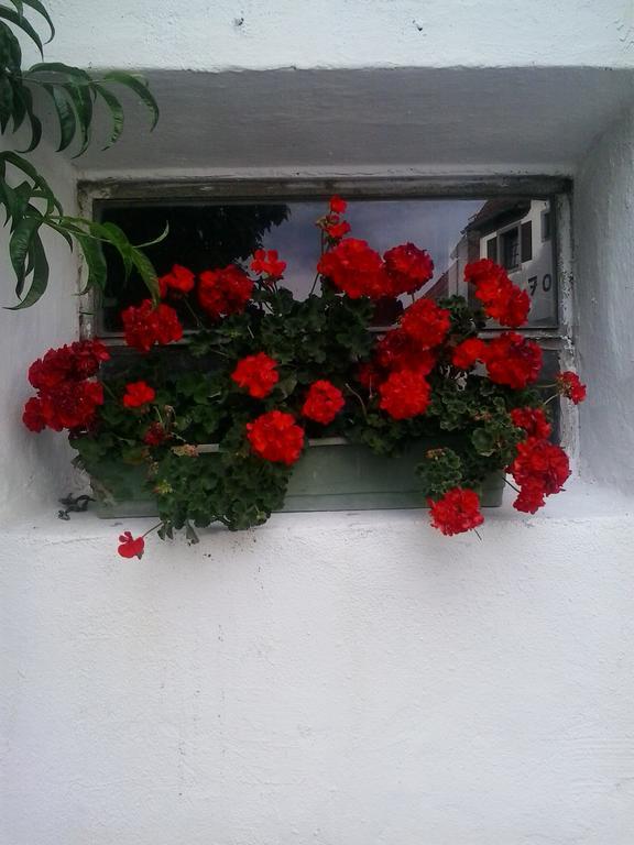 הוילה וולדן אם וורתרסי Lindenhof מראה חיצוני תמונה